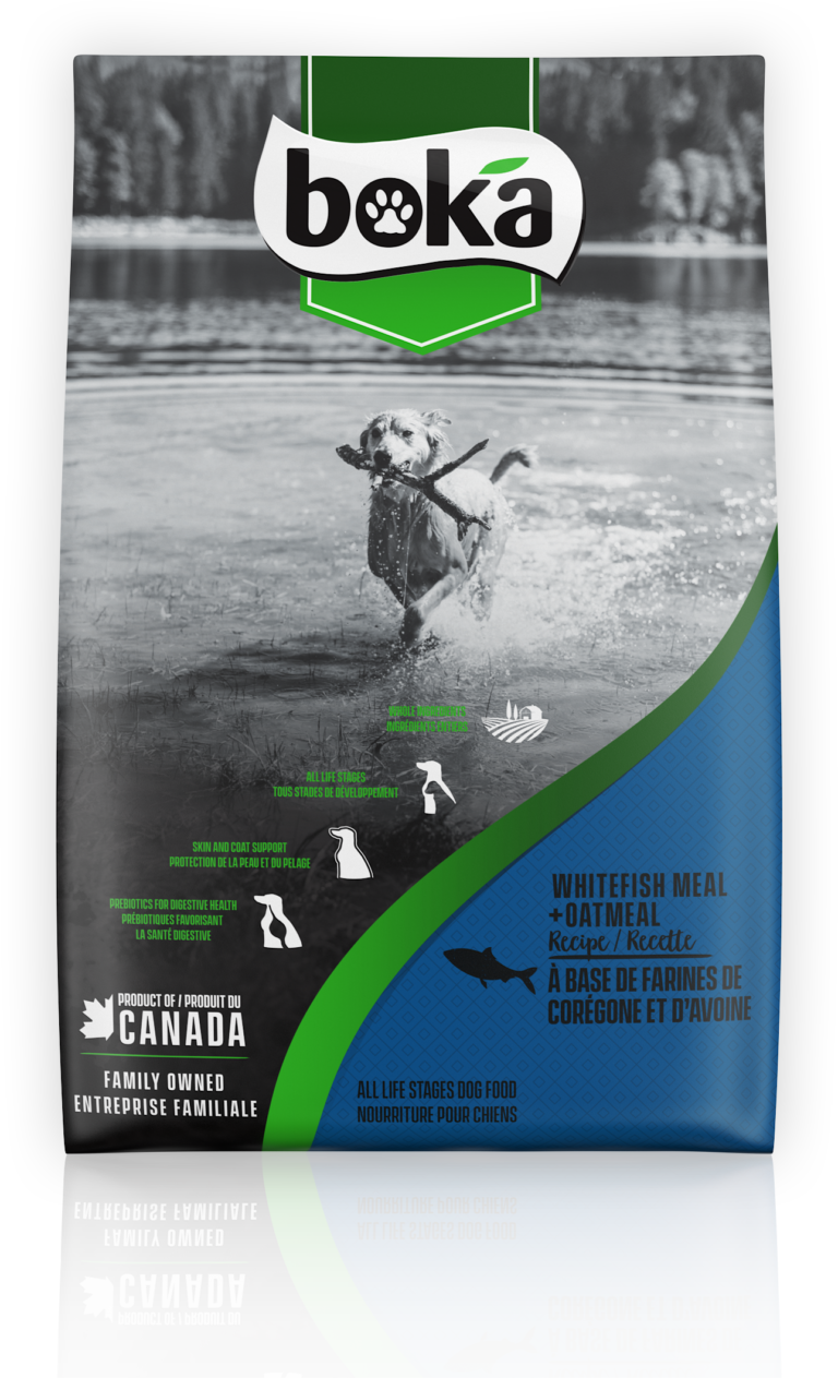 Chicken Meal & Oatmeal Recipe Boka Healthy Pet Food